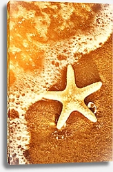 Постер Морская звезда на песке 3
