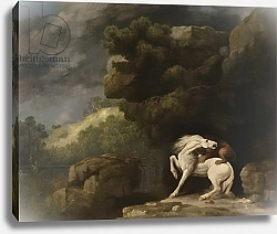 Постер Стаббс Джордж A Lion Attacking a Horse, 1770