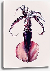Постер Винтажная цветная иллюстрация кальмара