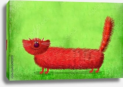 Постер Сикорский Андрей (совр) Пушистый длинный кот на зеленом фоне