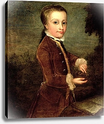 Постер Зоффани Йоханн Portrait of Wolfgang Amadeus Mozart aged eight, holding a bird's nest, 1764-65