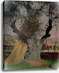 Постер Валлоттон Феликс The Old Olive Tree, 1922