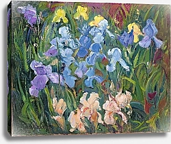 Постер Истон Тимоти (совр) Irises: Pink, Blue and Gold, 1993