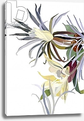 Постер Хируёки Исутзу (совр) Elegant, beard-like flowers.