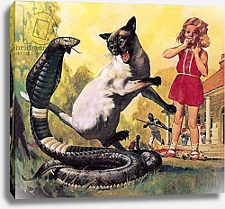 Постер МакКоннел Джеймс The Courageous Cat