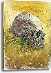 Постер Ван Гог Винсент (Vincent Van Gogh) Череп, 1887