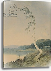 Постер Блэклок Уильям Silver Birch by a Lake, 1845