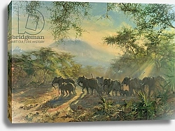 Постер Скотт Болтон (совр) Elephant, Kilimanjaro, 1995