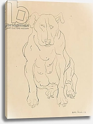 Постер Моррис Седрик (совр) Nancy Morris’s bull dog, 1928