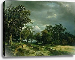Постер Ширмер Йоханн The Path on the Edge of the Wood, c.1851