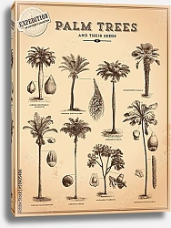 Постер Пальмовые деревья