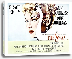 Постер Poster - Swan, The