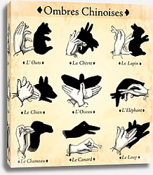 Постер Ombres Chinoises