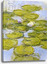 Постер Моне Клод (Claude Monet) Nympheas, 1916-19