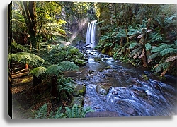 Постер Водопад в тропическом лесу 1