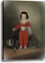 Постер Гойя Франсиско (Francisco de Goya) Don Manuel Osorio Manrique de Zuniga, 1790