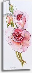Постер Фивси Джоан (совр) Roses, 2010, watercolour