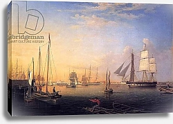 Постер Лэйн Фитц Baltimore Harbour, 1850