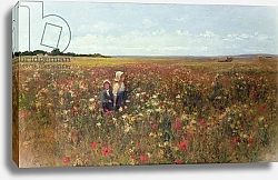 Постер Коллз Кейт The Poppyfield, 1897