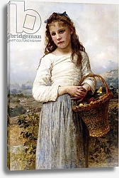 Постер Бугеро Вильям (Adolphe-William Bouguereau) A Young Girl with a Basket of Fruit, 1905