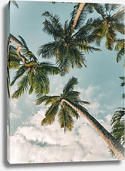 Постер Под пальмами, Момбаса, Кения