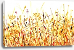Постер Луговые травы
