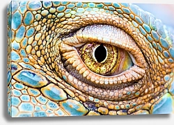 Постер Глаз дракона