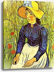 Постер Ван Гог Винсент (Vincent Van Gogh) Молодая крестьянка в соломенной шляпе в пшенице