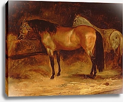 Постер Жерико Теодор A Bay Horse at a manger, with a grey horse in a rug