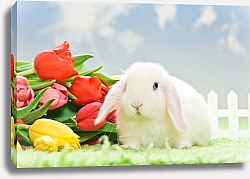 Постер Белый кролик и тюльпаны