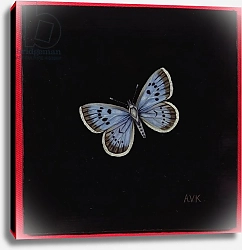 Постер Клейзер Амелия (совр) Large blue butterfly, 2000