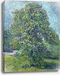 Постер Ван Гог Винсент (Vincent Van Gogh) Каштан в цвету, 1887