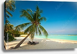 Постер Мальдивы. Пляж с лежаками