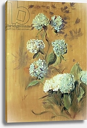 Постер Хеллу Поль Сезар Hydrangeas