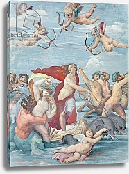 Постер Рафаэль (Raphael Santi) The Triumph of Galatea, 1512-14