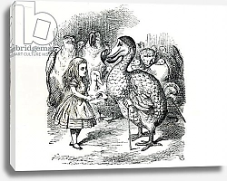 Постер Тениель Джон Alice meets the Dodo, illustration from 'Alice's Adventures in Wonderland', by Lewis Carroll, 1865