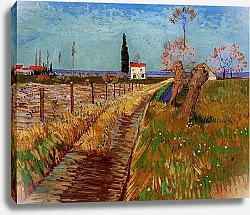 Постер Ван Гог Винсент (Vincent Van Gogh) Тропинка в поле в ивами