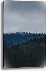 Постер Дремучий лес