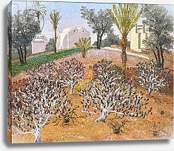 Постер Моррис Седрик (совр) Pays de Lotophages, Djerba, Tunisia, 1926