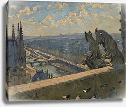 Постер Моро-Нелатон Жанна Vue de Paris prise depuis la cathédrale Notre-Dame