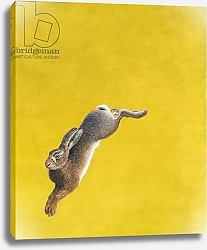Постер Хейворд Тим (совр) The Leap-Yellow