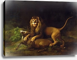 Постер Стаббс Джордж A Lion Attacking a Stag, c.1765