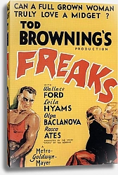 Постер Poster - Freaks