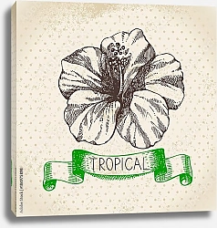 Постер Иллюстрация с тропическим цветком
