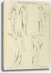 Постер Рубенс Петер (Pieter Paul Rubens) Five male figures