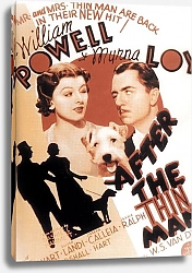Постер Poster - After The Thin Man