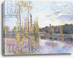 Постер Сислей Альфред (Alfred Sisley) The Lake at Chevreuil