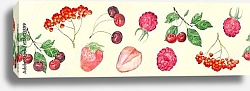 Постер Красные ягоды: вишня, клубника, малина, рябина
