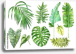 Постер Набор тропических акварельных листьев