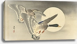 Постер Косон Охара Two ducks at full moon